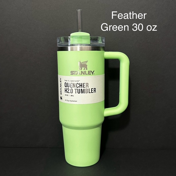 Stanley Other - Stanley 30oz Feather Green Quencher H20 flowstate Tumbler